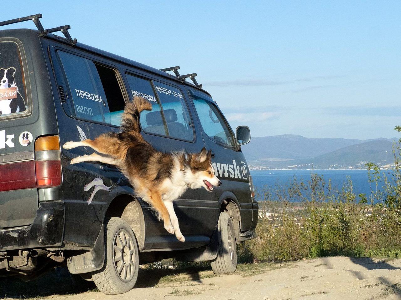 Многократные повторения