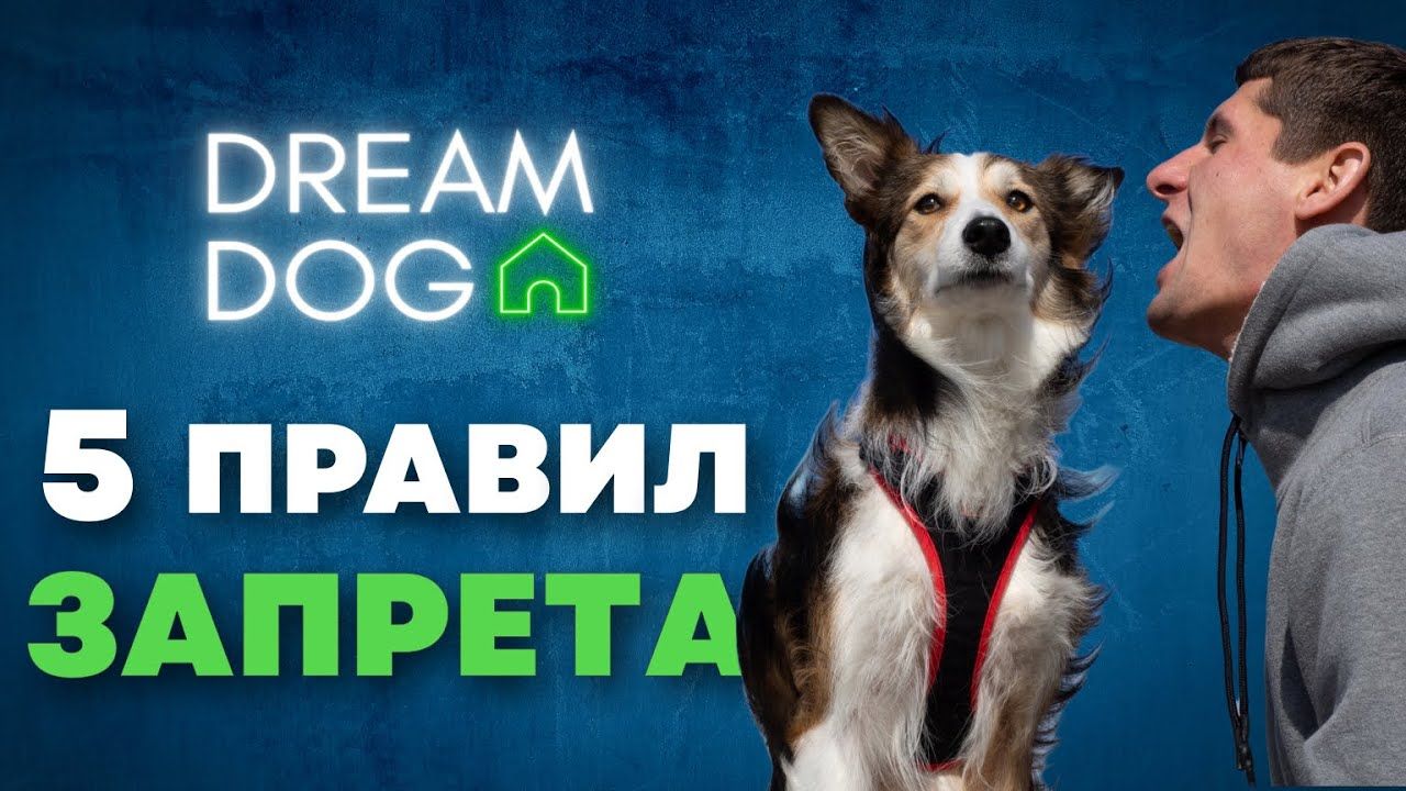 Идеальная запрещающая команда — 5 правил и отказ навсегда