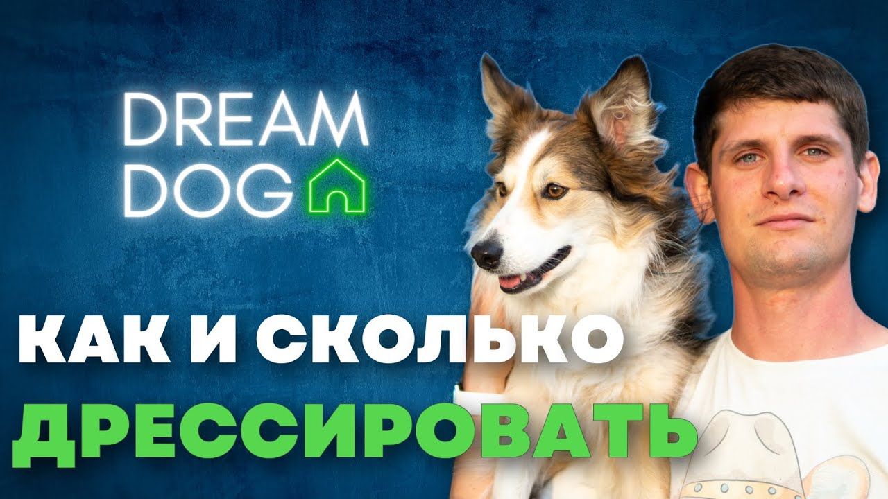 С какого возраста дрессировать щенка и сколько заниматься