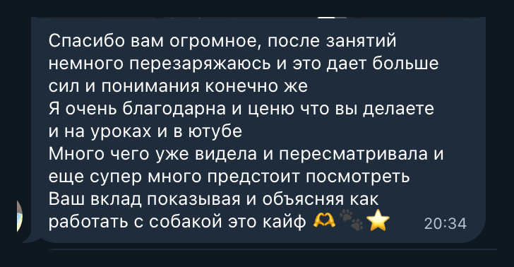 Отзыв 5