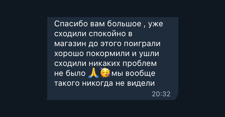 Отзыв 6